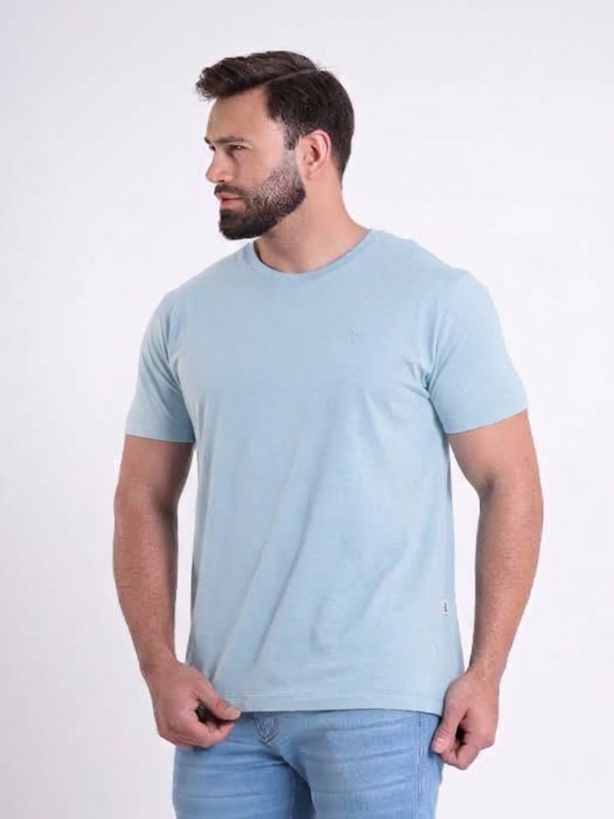 CAMISETA MALHA GOLA O MASC 2100922